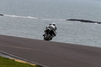 PJ-Motorsport-2019;anglesey-no-limits-trackday;anglesey-photographs;anglesey-trackday-photographs;enduro-digital-images;event-digital-images;eventdigitalimages;no-limits-trackdays;peter-wileman-photography;racing-digital-images;trac-mon;trackday-digital-images;trackday-photos;ty-croes